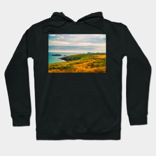 St Davids Peninsula - Coastal Scenery - Pembrokeshire, Wales Hoodie